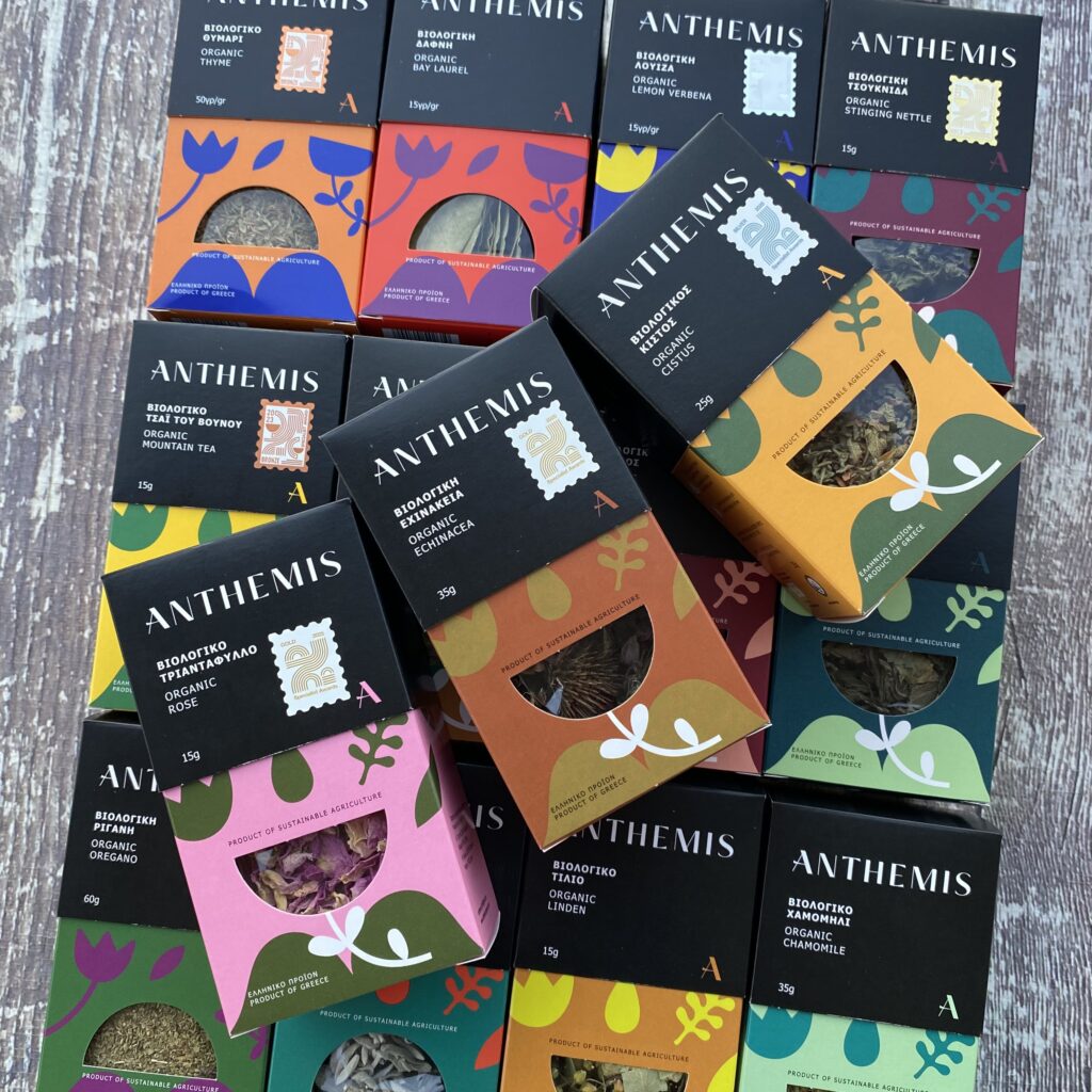 Οι Startup που ανέδειξε το 2025 3 IMG 0182 - Greek Market News